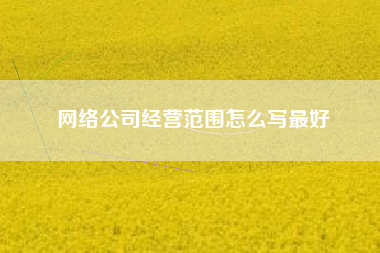 详细阅读:网络公司经营范围怎么写最好 网络公司经营范围怎么写最好
