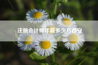 注册会计师年薪多少万西安