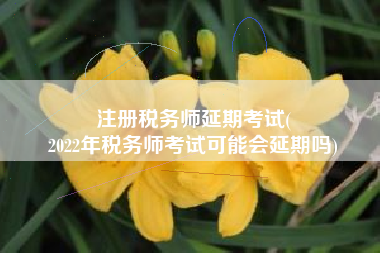 注册税务师延期考试(
2022年税务师考试可能会延期吗)