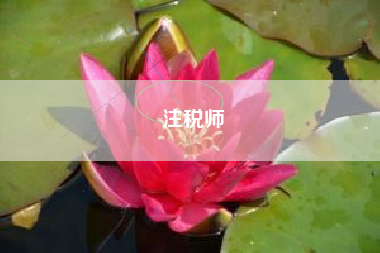 注税师