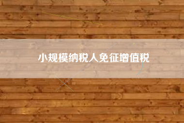 详细阅读:小规模纳税人免征增值税 小规模纳税人免征增值税