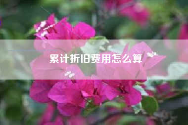 累计折旧费用怎么算