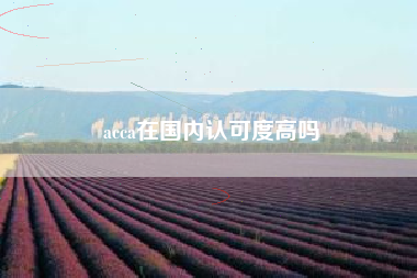 acca在国内认可度高吗