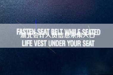 湖北会计人员信息采集入口