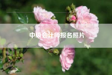 中级会计师报名照片