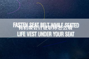 有初级会计证职称怎么填