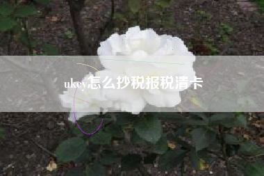 ukey怎么抄税报税清卡