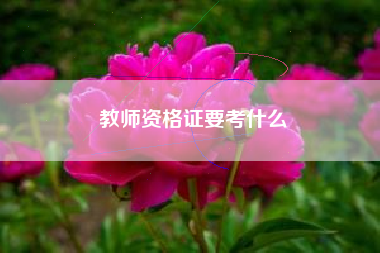教师资格证要考什么