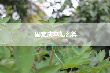 固定成本怎么算