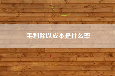 毛利除以成本是什么率