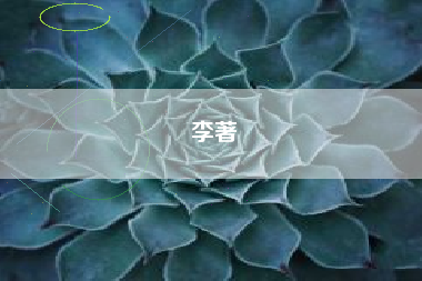 详细阅读:李著 李著