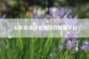详细阅读:山东省会计管理综合服务平台 山东省会计管理综合服务平台