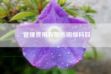 详细阅读:管理费用有哪些明细科目 管理费用有哪些明细科目