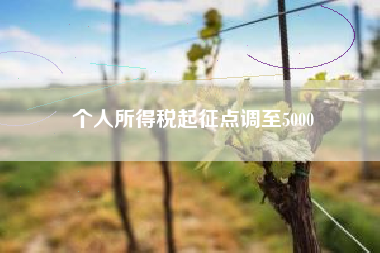 详细阅读:个人所得税起征点调至5000 个人所得税起征点调至5000