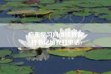 广东学习网继续教育(
村书记给我打电话)
