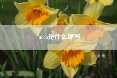 详细阅读:acca是什么缩写 acca是什么缩写