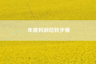 年底利润结转步骤