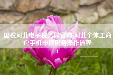 国税河北电子税务局官网(河北个体工商户手机申报税务操作流程
)