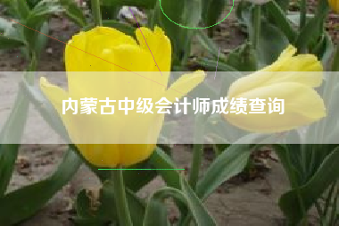 内蒙古中级会计师成绩查询