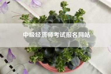 中级经济师考试报名网站