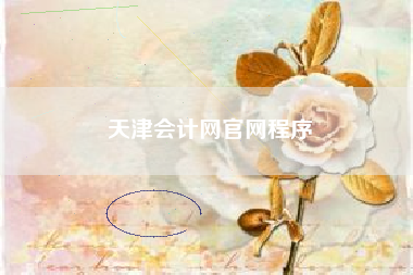 天津会计网官网程序