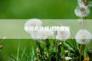 中级会计师成绩查询