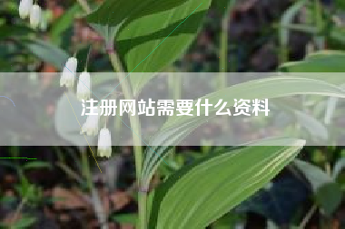注册网站需要什么资料