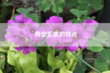 商业汇票的特点