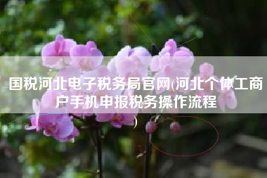 国税河北电子税务局官网(河北个体工商户手机申报税务操作流程
)