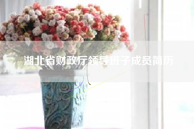 湖北省财政厅领导班子成员简历