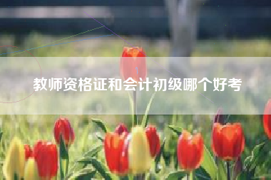 教师资格证和会计初级哪个好考