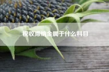 税收滞纳金属于什么科目