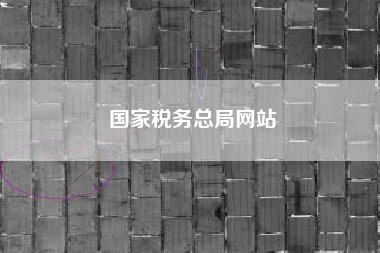 国家税务总局网站