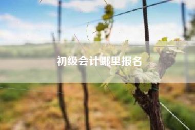 初级会计哪里报名
