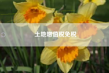 土地增值税免税