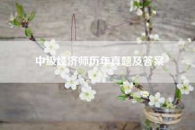 中级经济师历年真题及答案