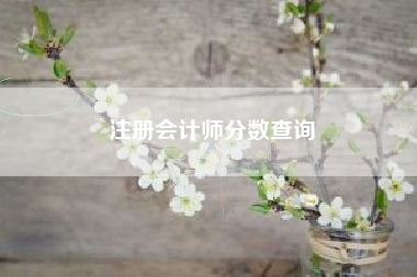 注册会计师分数查询