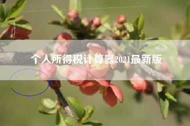 个人所得税计算器2021最新版
