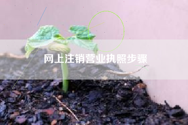 网上注销营业执照步骤
