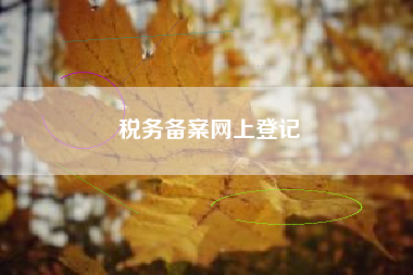 税务备案网上登记