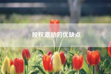 股权激励的优缺点