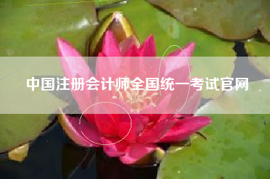 中国注册会计师全国统一考试官网