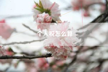 个人税怎么算