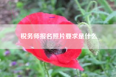 详细阅读:税务师报名照片要求是什么 税务师报名照片要求是什么