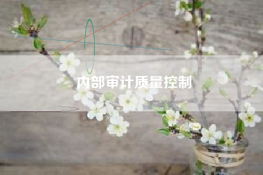 内部审计质量控制