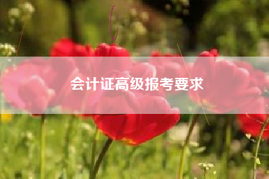 会计证高级报考要求