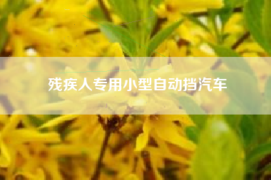 残疾人专用小型自动挡汽车