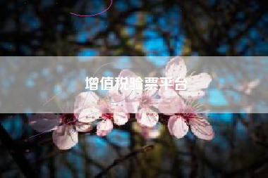 增值税验票平台