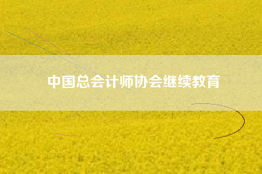 详细阅读:中国总会计师协会继续教育 中国总会计师协会继续教育