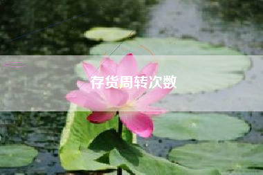存货周转次数